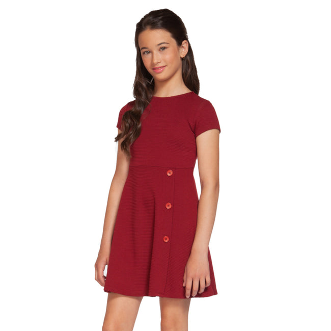 DEX KIDS Big Girl Short Sleeve Cherry Red Dress