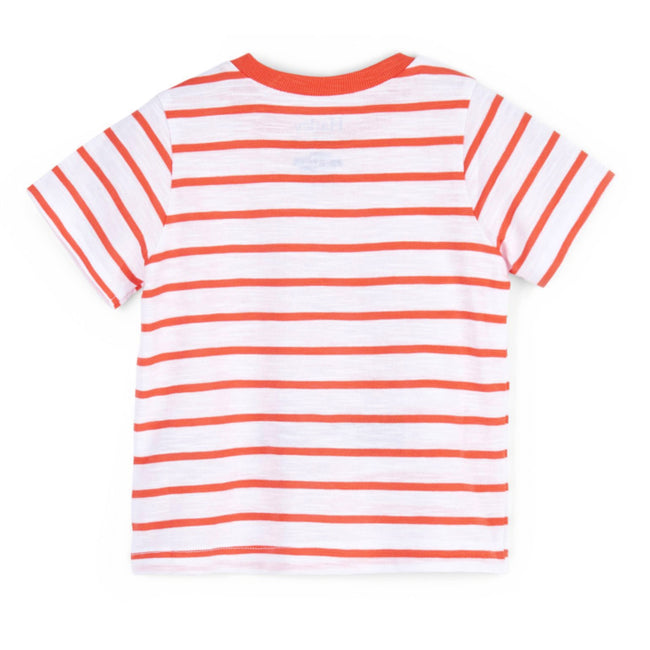 Hatley Baby Boy Pinch Me Crab Orange Stripes Tee Back