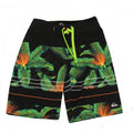 Quicksilver Big Boy Board Shorts