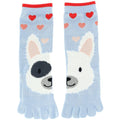 DENSLEY Toed Novelty Critter Socks Cat Raccoon Bear Dog for Kids
