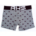 NASS Youth Boys Boxer - Grey