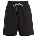 UNDER ARMOUR Big Boy/Men Point Breeze Black Colorblock Volley Shorts