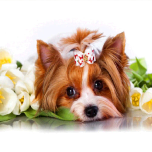 Diamond Art Partial Drill Craft Kits