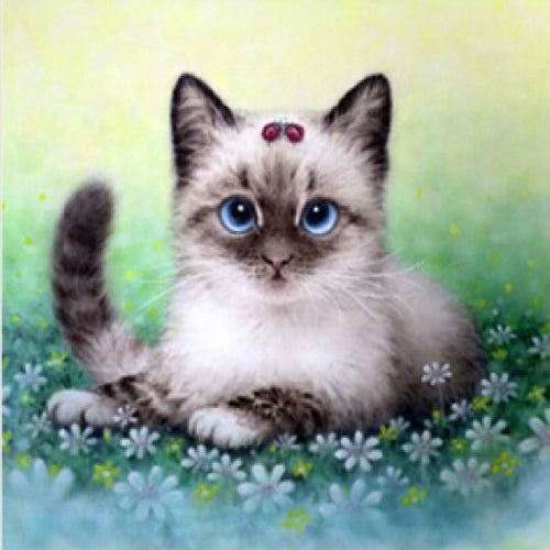 Diamond Art Partial Drill Craft Kits