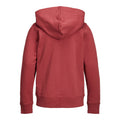 Jack Jones Davis Zippered Hoodie Brick Red Back