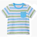 Hatley Little Boys White Tee Green and Blue Horizontal Stripes Front